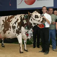 Grande championne et championne adulte : Talence à l'EARL Thomas Gautier (Ille-et-Vilaine)