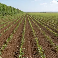 Des éleveurs novateurs