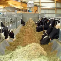L'easyFood de Cow House