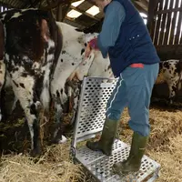 La Sécurichaise répond aux attentes des intervenants en élevage pour travailler au plus près de l'animal en toute sécurité.