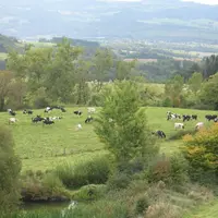11% de la collecte européenne a été exportée en 2014.