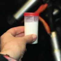 À L’AVENIR, L’ÉCHANTILLONNAGE
DU LAIT de chaque vache
pourrait ne plus être
indispensable à la mesure
du taux cellulaire individuel.