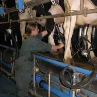 Les salariés de moins de 26 ans poursuivant leurs études peuvent travailler moins de 24 heures par semaine.