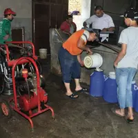 Une exploitation traditionnelle mais de taille assez grande (17 vaches). Non réfrigéré, le lait 
est collecté matin et soir par un collecteur, interm