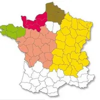Les résultats sont classés par région de production et par groupe de précocité.