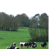Carbon dairy est 
le plan de réduction 
des émissions de GES 
de la production laitière. Une de ses finalités 
est de valoriser financièrement les