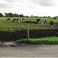 Les parcelles parking et les bourbiers qui se forment dans les prairies présentent un enjeu nvironnemental auquel commence à s’attaquer la réglementat