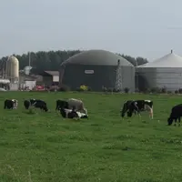 vaches laitières devant un méthaniseur agricole, en Haute-Marne. Archives