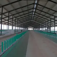 LE BÂTIMENT EST LUMINEUX et long de 234 mètres
sur 37 mètres de large. Il compte 954 logettes
creuses sur 25 centimètres de paille.
