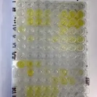 Une batterie de tests a été effectuée pour vérifier que le test commercialisé par la société Idexx était réalisable sur
les échantillons classiques d