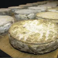 Le prix AOP sera connecté au prix des fromages et non 
à la valorisation beurre-poudre.