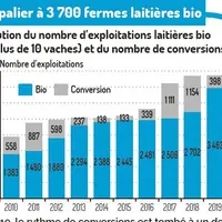 Graphique évolution du nombre d'exploitations laitières bio détenant plus de 10 vaches, et du nombre de conversions