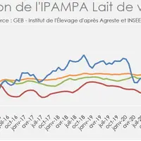 Graphique Ipampa lait de vache janvier 2021