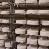 camembert