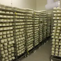 fromages
