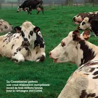 La Commission européenne prévoit une sous réalisation record de trois millions de tonnes pour la campagne 2007/2008