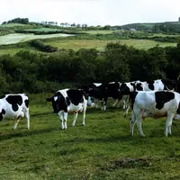 Irlande