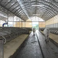 Les bâtiments tunnels sont proposés en kit avec quatre largeurs possibles : 6,40 m, 8 m, 9,60 m et 12,80 m.