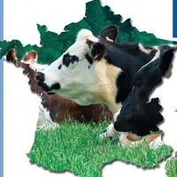 « La fin des quotas sera gérée
par une majorité d’éleveurs
de plus de 50 ans. »