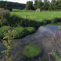 Air, eau, biodiversité... La protection de l'environnement sous toutes ses formes est de plus en plus réglementée.