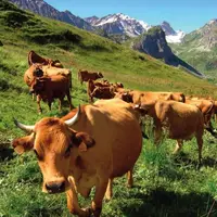 L’écart concurrentiel avec la plaine
va s’accroître, mais la montagne
a des atouts pour y faire face