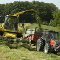 Les rendements de l'ensilage d'herbe sont généralement inférieurs à ceux de l'ensilage maïs.