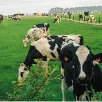 La partie « animale » du système sera présentée 
en détail en décembre lors des journées 3R.