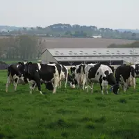 Cette initiative lancée par et pour les éleveurs laitiers met en place les fondements d’un « plan bas carbone » de la production laitière.