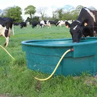 Un bac de 1000 litres avec un bon débit assure un abreuvement satisfaisant pour un troupeau de 70 vaches.