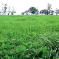 2010 SERA LA RÉFÉRENCE INITIALE pour le suivi des ratios de surfaces en prairies temporaires et permanentes.