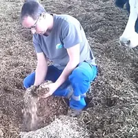 miscanthus litière malaxée Gaec de l'enclos