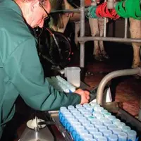 LA PRÉSENCE DE CELLULES DANS LE LAIT traduit l’existence d’une infection
mammaire, souvent inapparente, seulement caractérisée par la présence,
en q