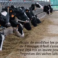 Avant de modifier les pratiques
de l’élevage, il faut s’assurer que tout
est déjà mis en oeuvre pour maximiser
l’ingestion des va