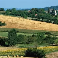 DERRIÈRE LA QUESTION DE LA VALORISATION ET DE LA CESSIBILITÉ
des contrats se cache un enjeu de taille : celui de la mobilité
des volumes de producti