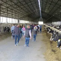Le congrès EDF a permis d'aller à la découverte d'exploitations allemandes comptant entre 400 et 2200 vaches.