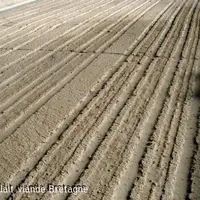 BÉTON SCARIFIÉ APRÈS DURCISSEMENT. Une technique
qui convient bien aux aires d’exercice et d’attente.