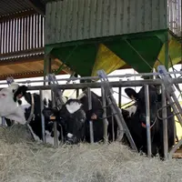 L’agrandissement des bâtiments, de la salle de traite, des capacités de stockage des déjections animales et des surfaces reviennent dans plus de 90 %