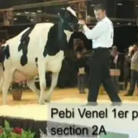 Pebi Venel, 1er prix section 2A