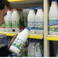 Les ventes de lait de consommation bio, 
de beurre, et plus récemment de produits ultrafrais, ont progressé sur le premier semestre 2013. Une tendanc