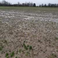 parcelle inondée