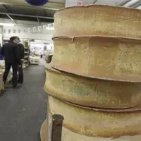 Meules de Beaufort, un des 28 fromages de vache français en AOP, au marché international de Rungis.