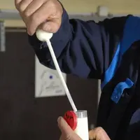L’usage des filtres à lait retenant des particules plus petites que 70 microns reste interdit sur les exploitations.