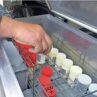 L’INTERPROFESSION EST SOUS SURVEILLANCE EN MATIÈRE D’ORIENTATIONS ÉCONOMIQUES, mais
aussi pour le volet qualité du lait puisque celle-ci entre dans l