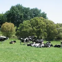 La reconnaissance du stockage de carbone par les prairies dans les méthodes officielles d’évaluation environnementale est en bonne voie.