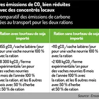 émissions de carbone liées aux rations vaches laitières Ensaia