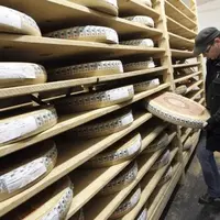 Meules de comté au Marché international de Rungis. 52 000 tonnes de fromages ont été vendus en 2012.