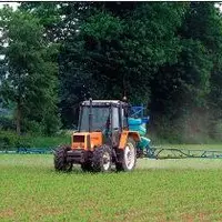 L’arsenal des herbicides du
maïs s’enrichit en post et prélevée.
