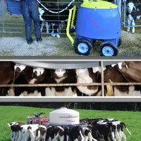 Avec le Milk Bar, trois semaines après leur naissance, les veaux sont nourris en case collective.