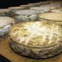 Agrilocal63, en un an, c’est 106 produits différents commandés, dont 450 kg de fromages et 13 000 yaourts.