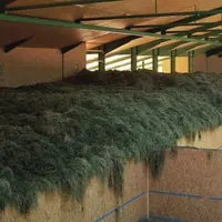 LE FOIN EST ENGRANGÉ PAR STRATES d’un mètre par jour dans six cellules, à la fois
afin de saturer l’air au maximum et de consommer le moins d’énergie